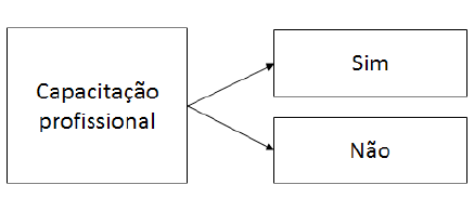 capacitação